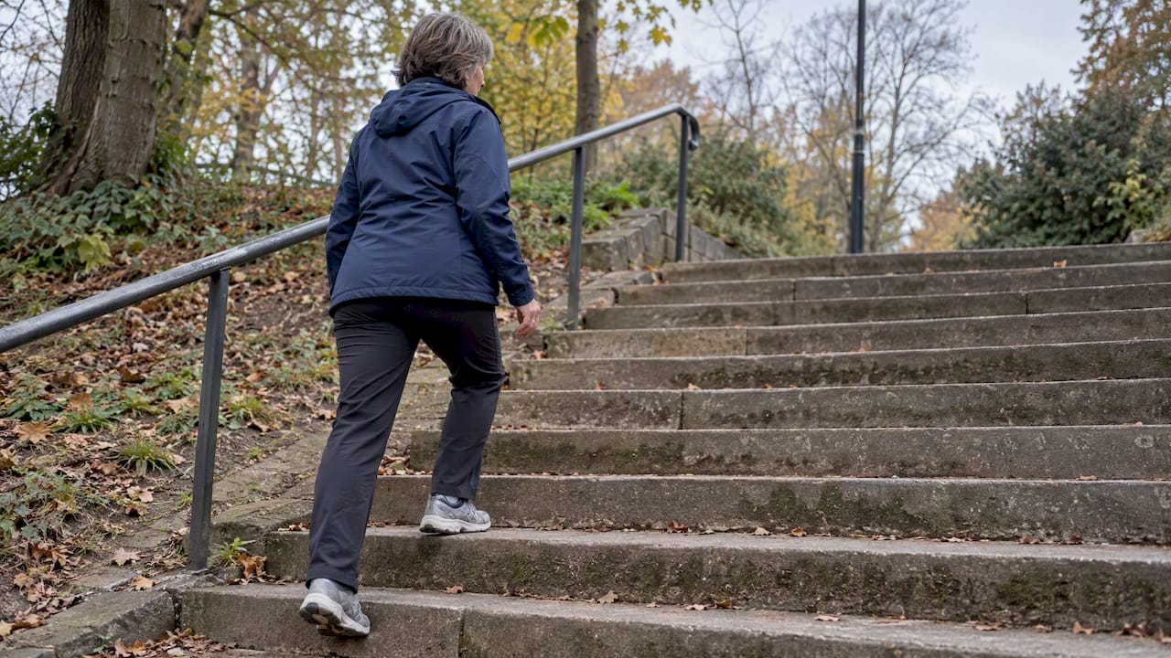 Adult briskly walking up park steps