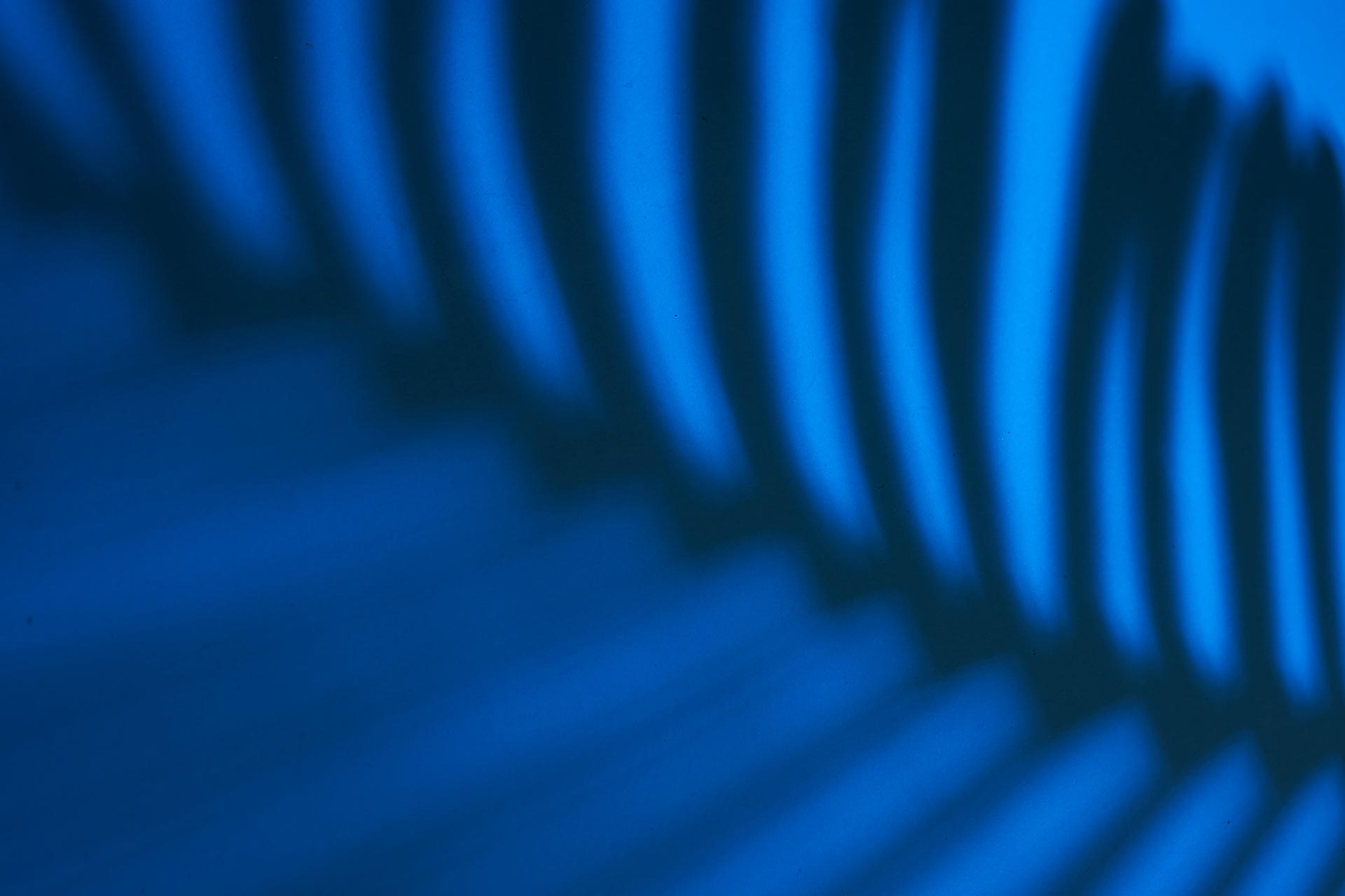 Focalyx Advantages