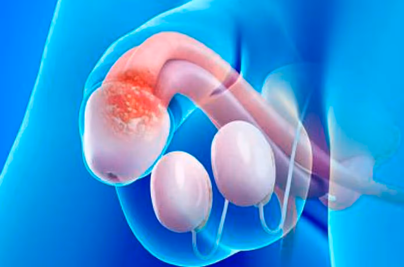 How to take care of your testicle health?