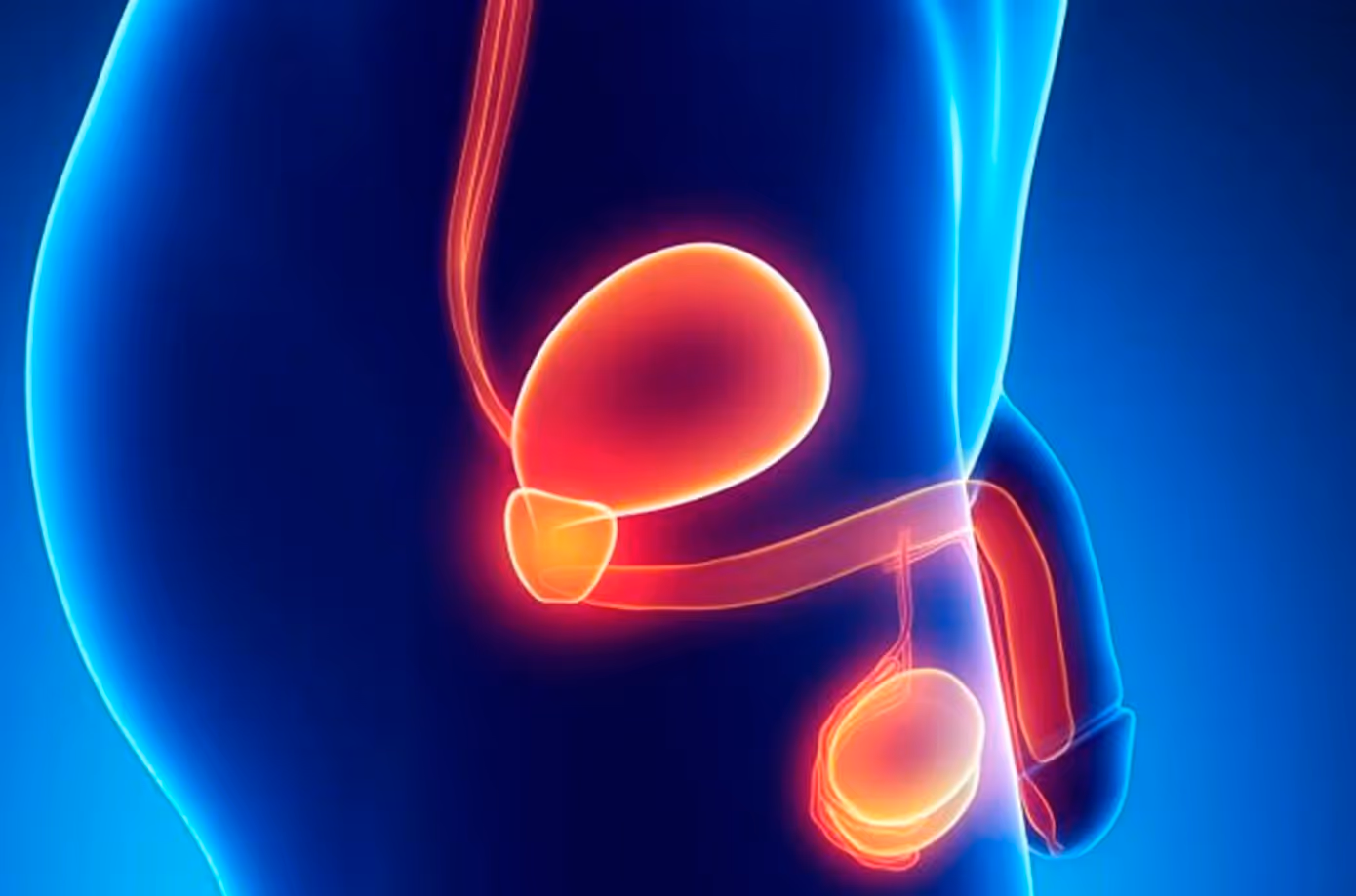 When was your last prostate checkup?