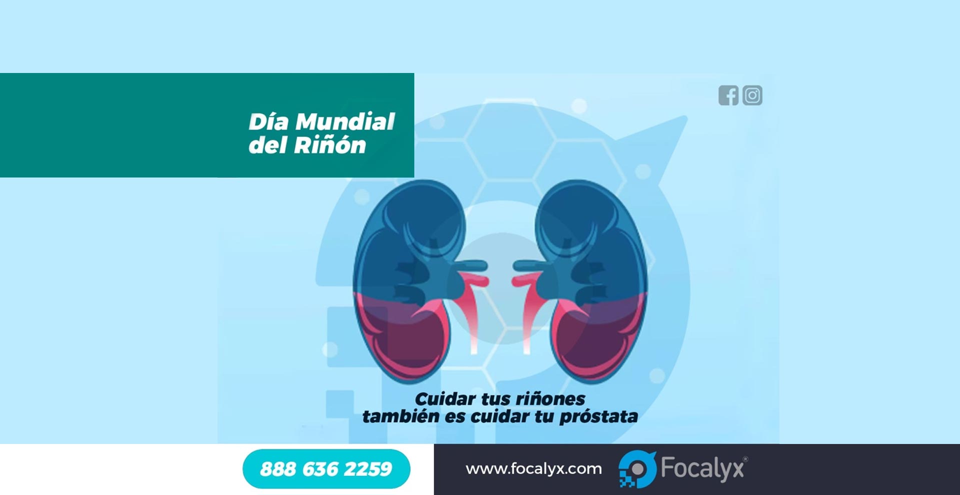 Protege tu Salud Prostática y Urinaria: Descubre la Conexión en el World Kidney Day