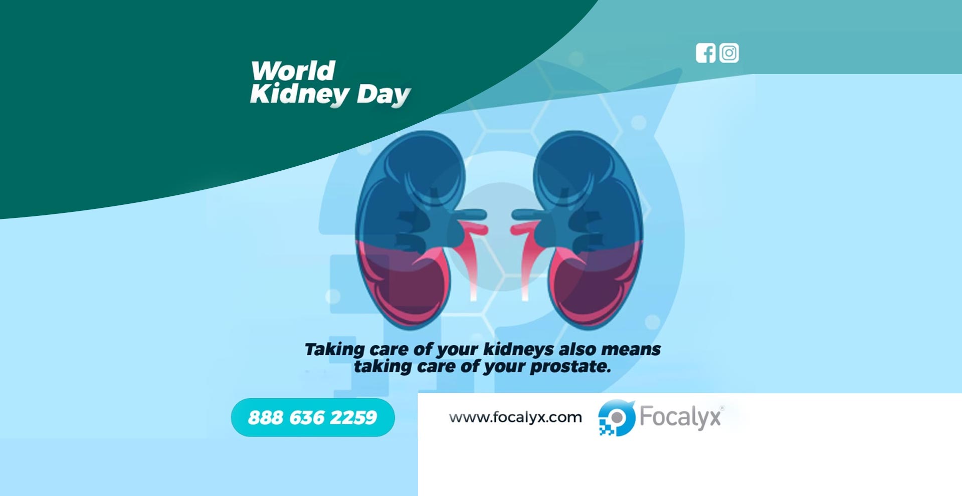 Enhance Urinary Health: The Prostate Connection on World Kidney Day 