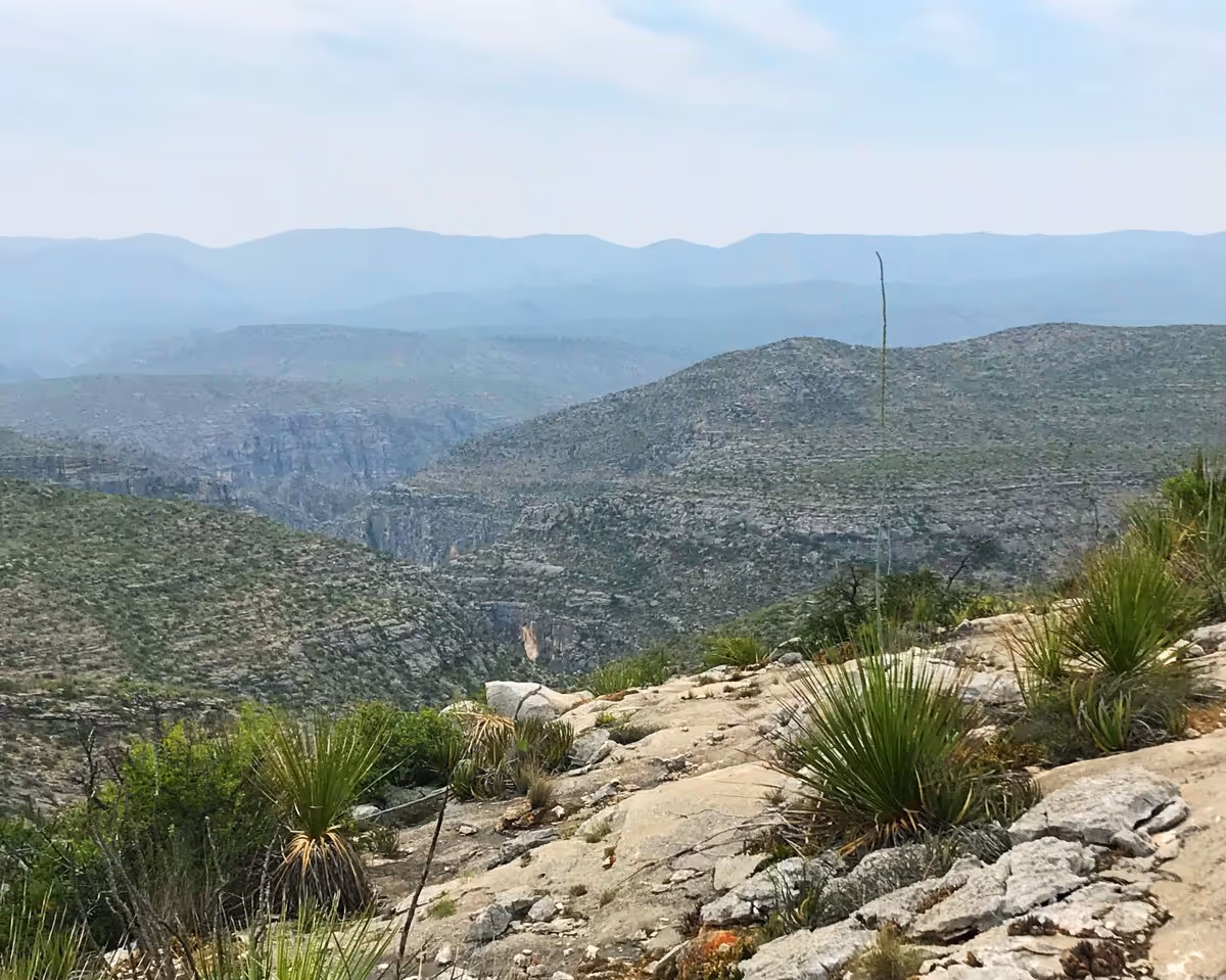 Rocky desert landscape with sparse green shrubs and distant layered mountains under a cloudy sky.