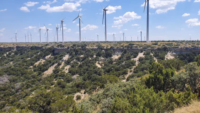 Wind turbines spread across a flat hilltop above a green, shrub-covered canyon