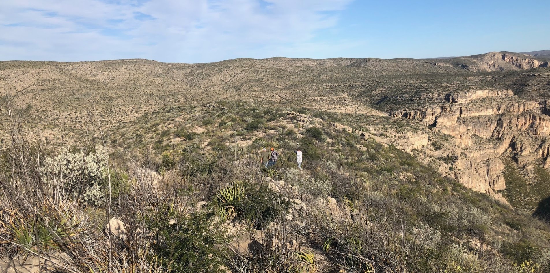 Researchers conduct geological survey in arid canyon landscape with desert vegetation and rock formations
