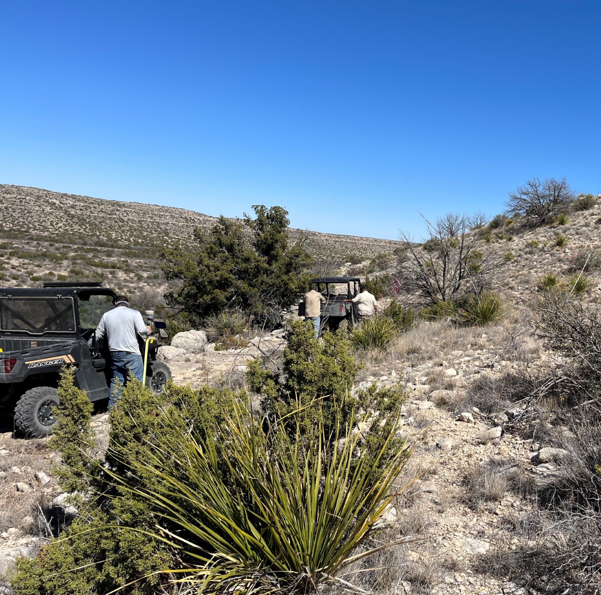 Field survey team conducting land assessment in arid desert terrain with vehicles
