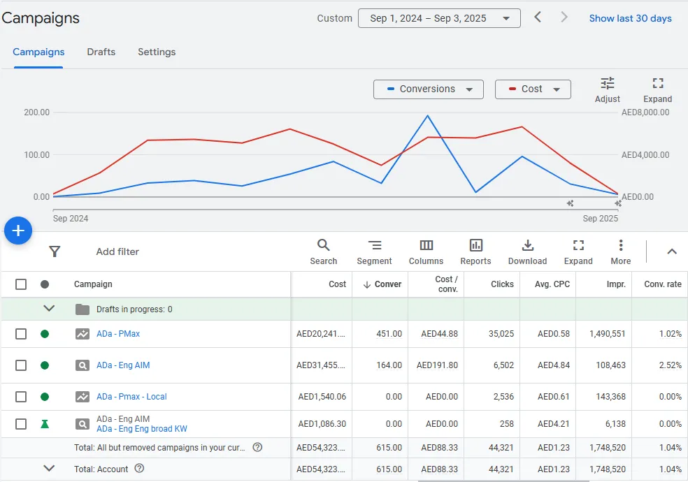 Consolidated performance summary from Google Ads reporting