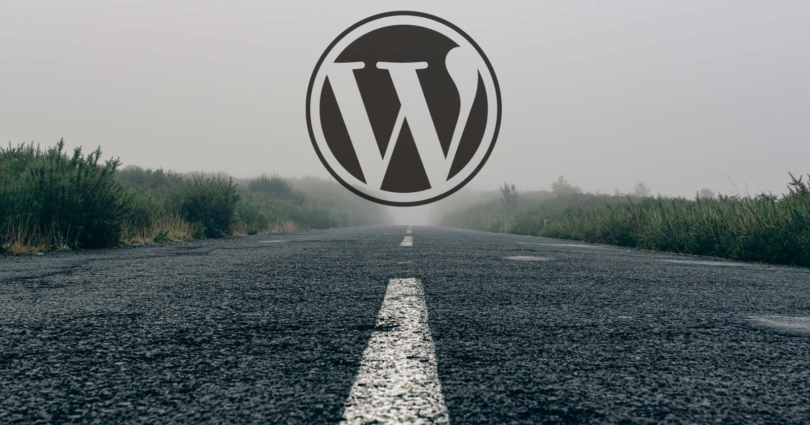 Joost de Valk Exits Federated WordPress Repository Project