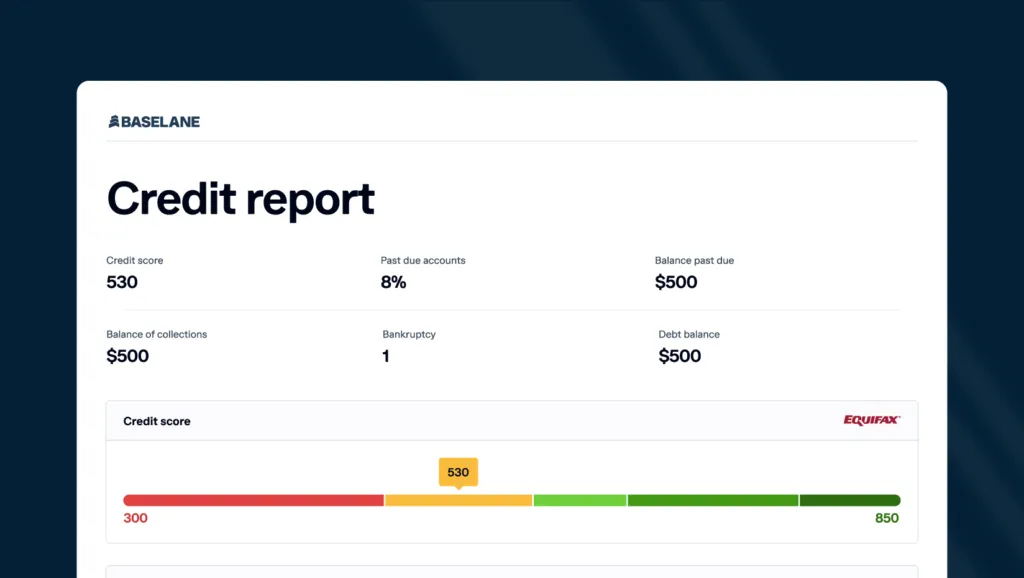 A sample of Baselane’s tenant credit report showing their credit score, past-due accounts, balance past due, balance of collections, bankruptcy and debt balance.