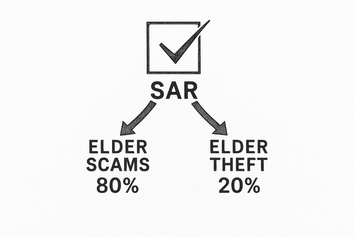 Diagram showing a single SAR checkbox branching into elder scams at 80 percent and elder theft at 20 percent of EFE-related filings