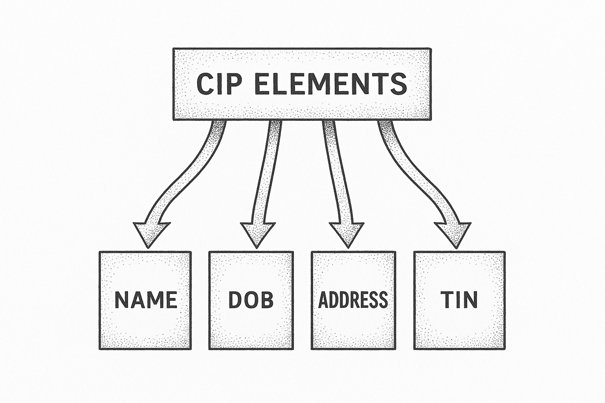 Four labeled boxes for CIP collection: name, date of birth, address, and identification number