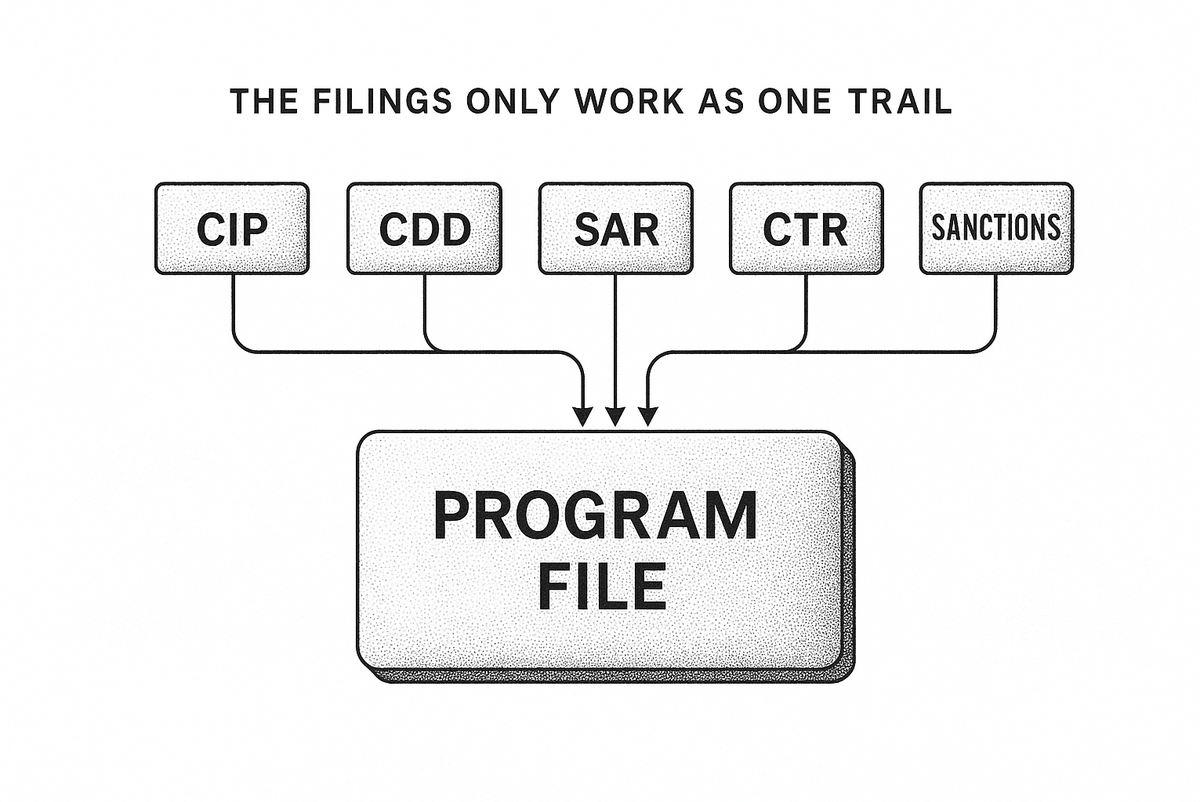 Diagram of CIP, CDD, SAR, CTR, and sanctions feeding one program file