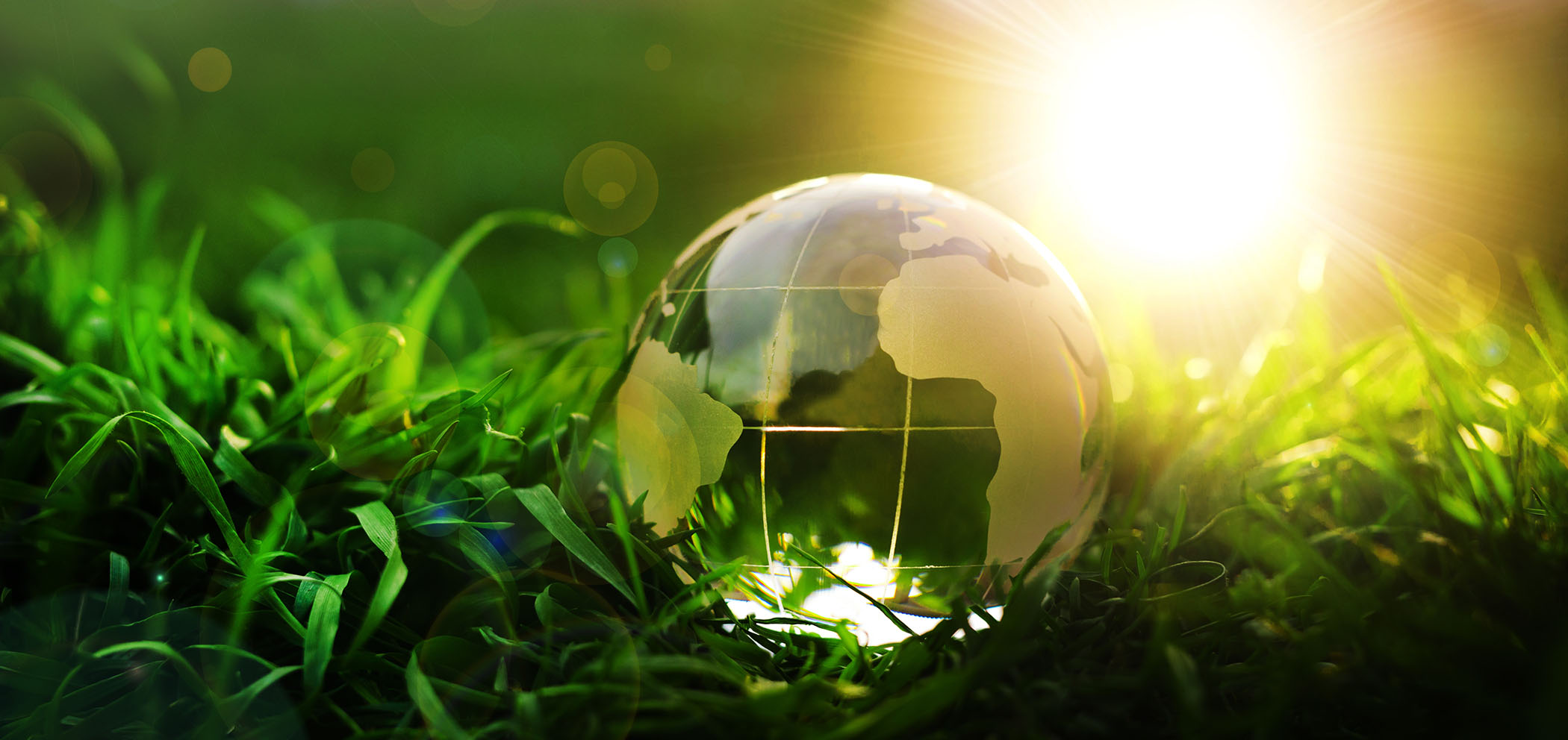 globe glass marble ball on grass