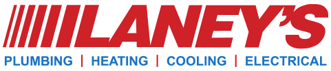 Laney's Inc.