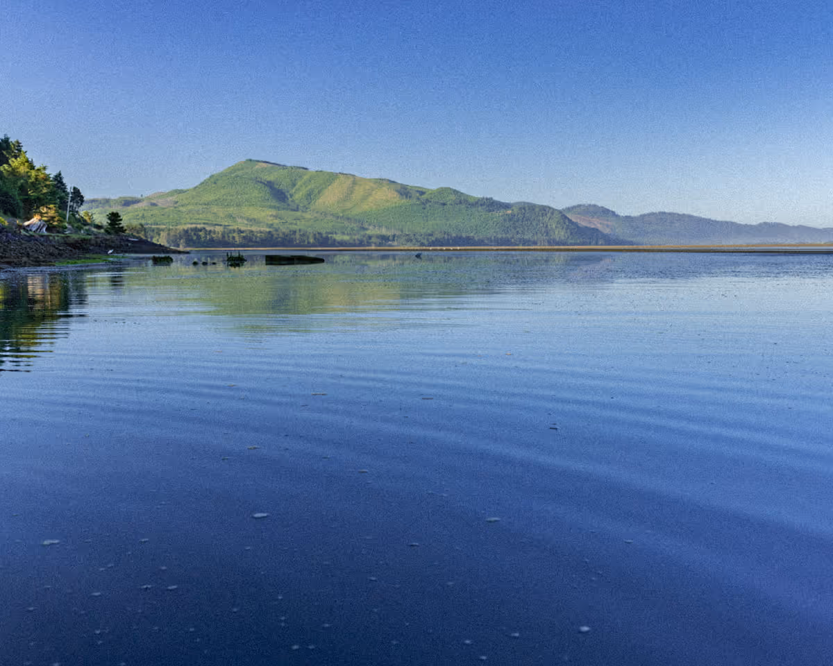 View of Netarts Bay from the water. The sun is shining bright, the hills are various shades or bright green, and there are ripples in the deep blue water from the boat moving through.