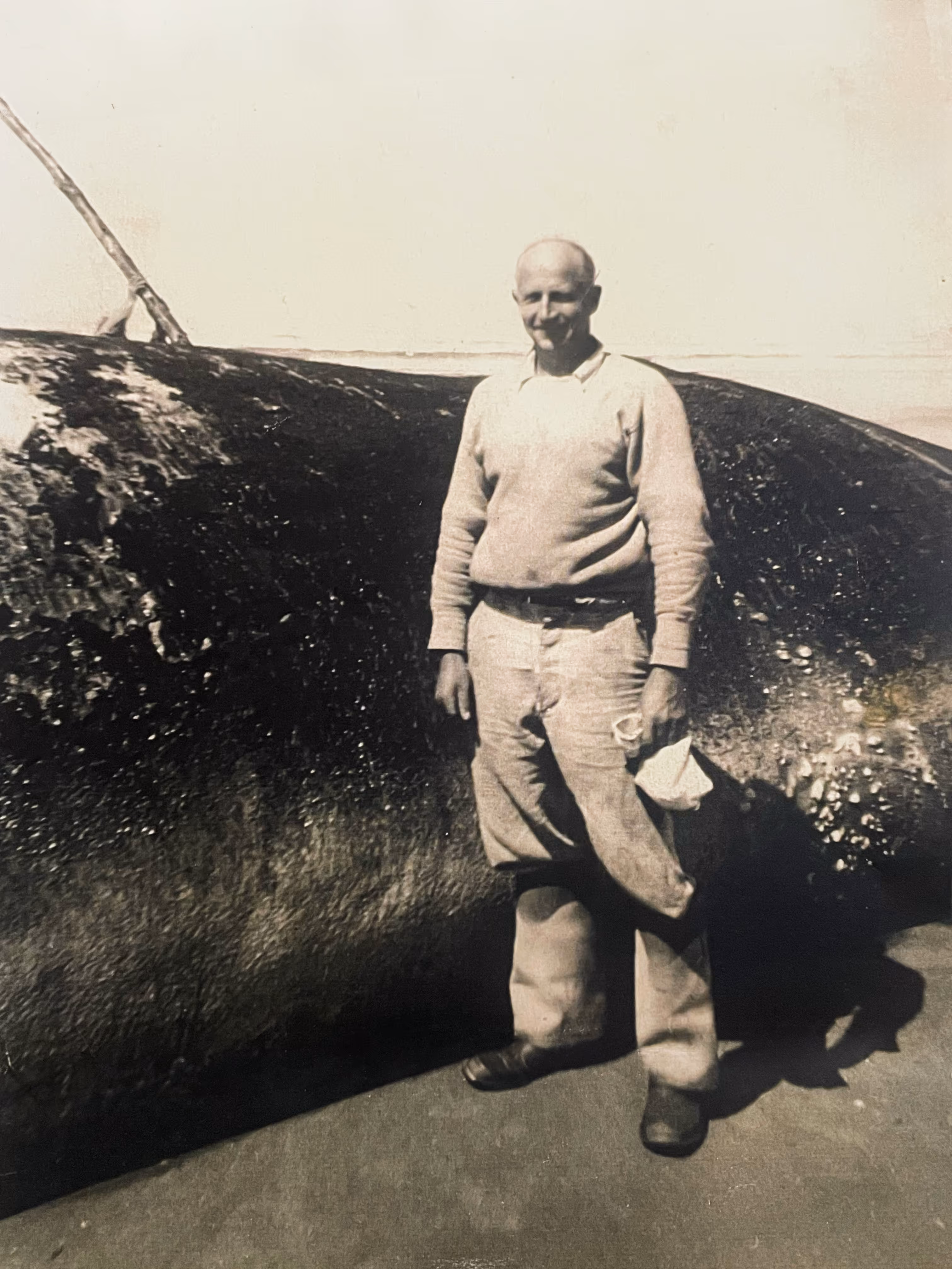 Black and white photo of a middle-aged bald man standing in front of a whale that has been harpooned