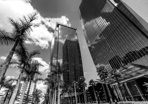 Only São Paulo