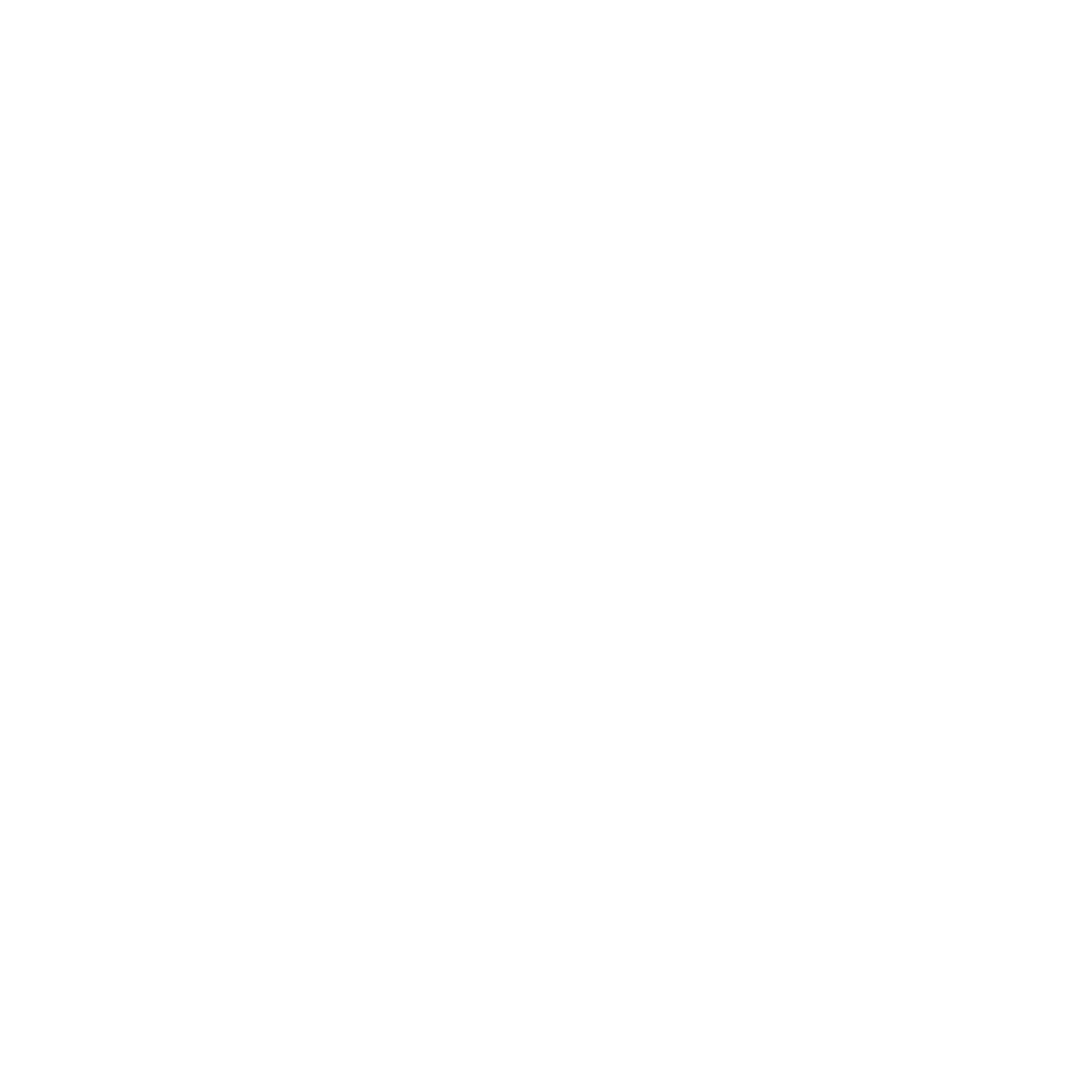 Document icon with a magnifying glass showing a check mark indicating verification or audit.