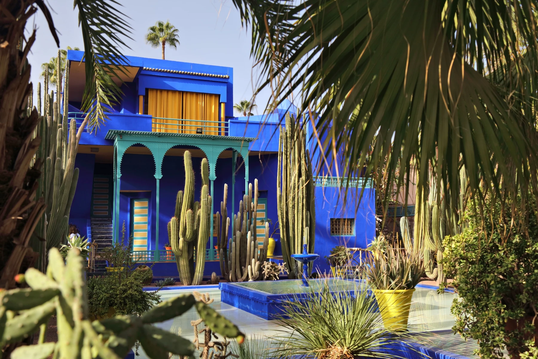 jardin Majorelle botanical garden in Marrakech, Morocco, designed by French painter Jacques Majorelle and later restored by Yves Saint Laurent, featuring vibrant cobalt-blue architecture, exotic plants, palm trees, cacti, and tranquil pathways