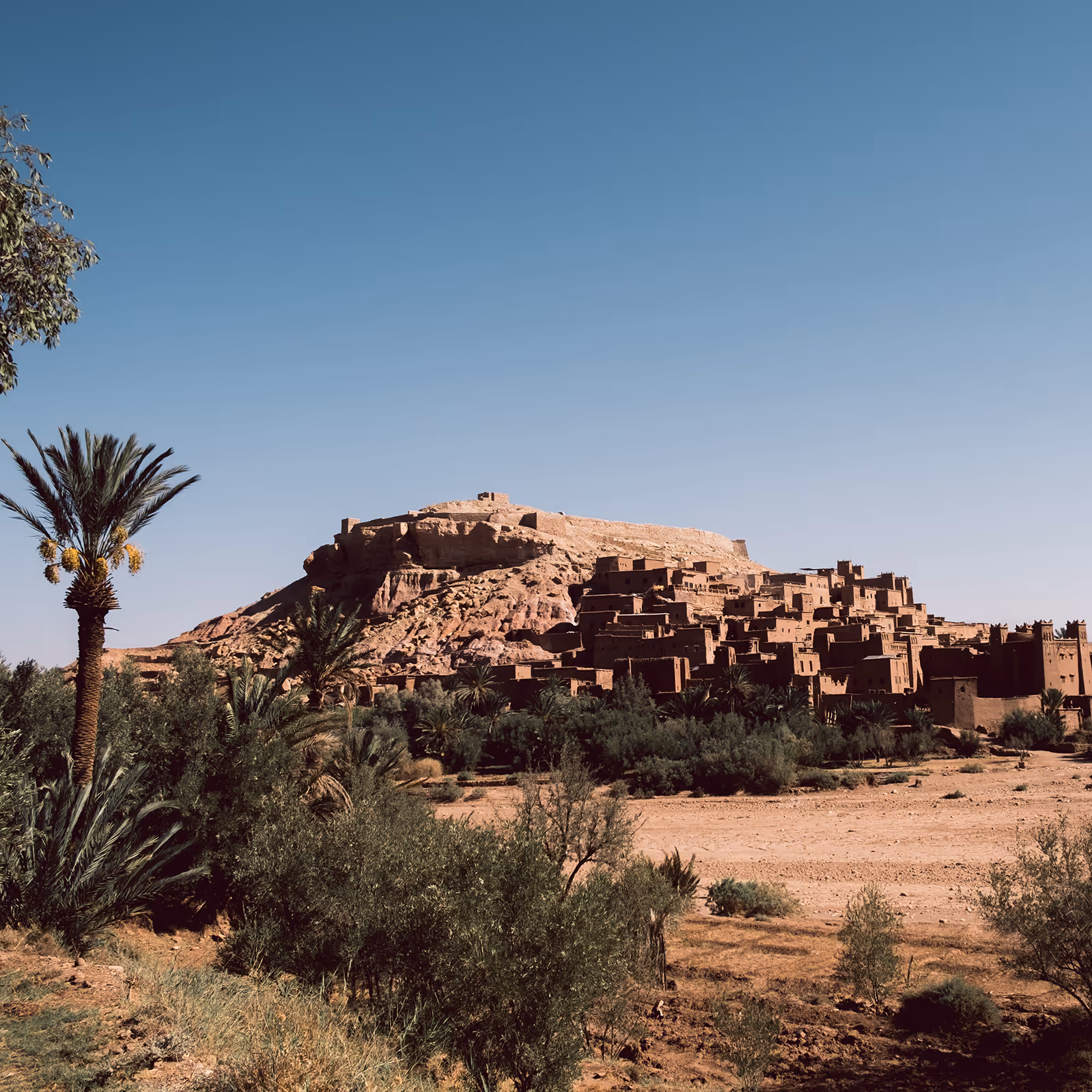 Ait Benhaddou Valley during a private guided trip with Moroccan Guides Travel a tave agency based in Morocco that offers luxury guided private trips across Morocco.