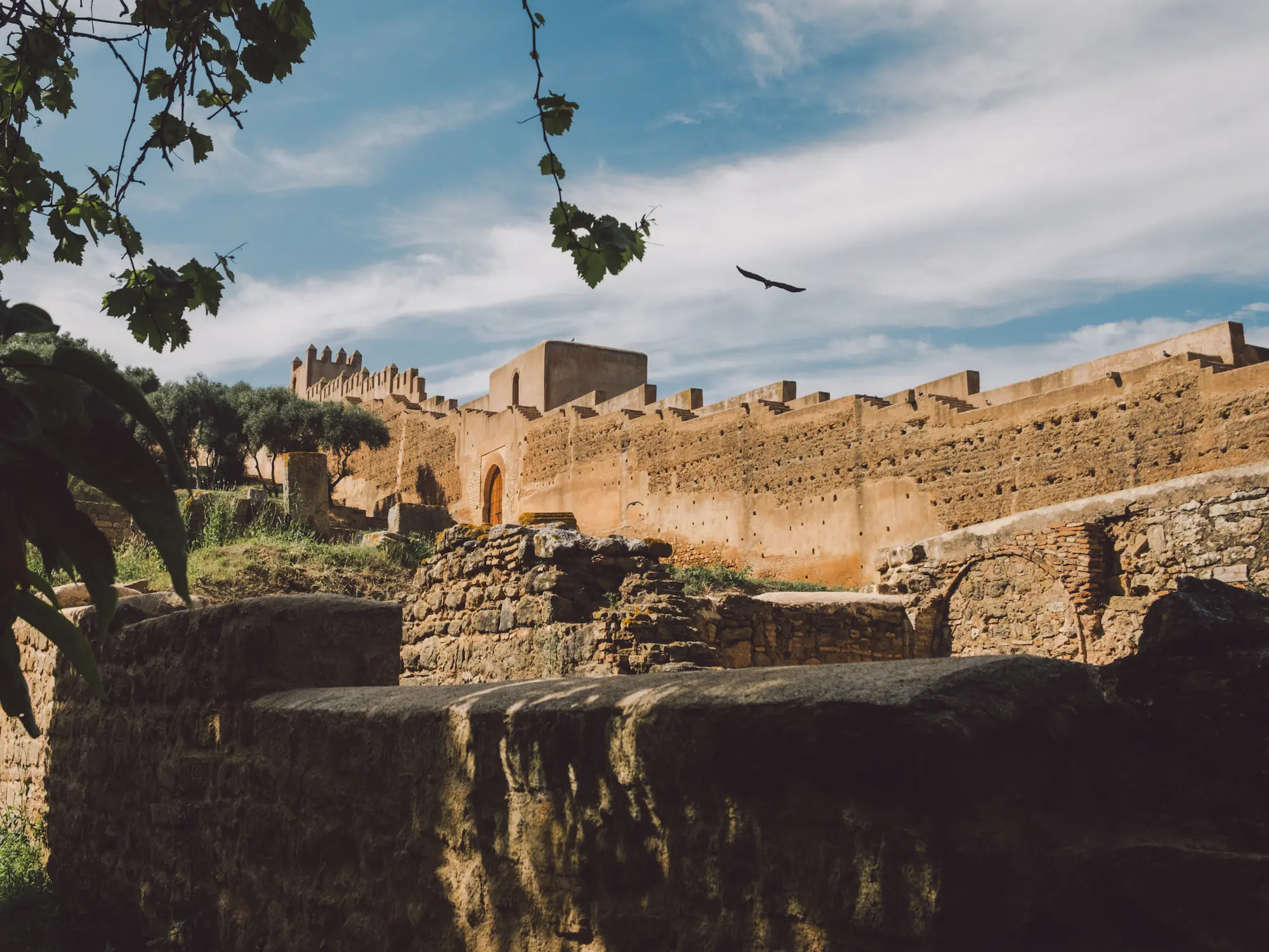 Chellah ruins and medieval fortress walls with a stork soaring overhead in Rabat, Morocco
