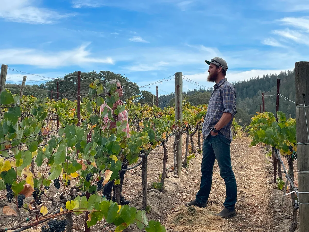 A farmer in a plaid shirt and cap standing among rows of grapevines in a Napa Valley vineyard under a clear blue sky.