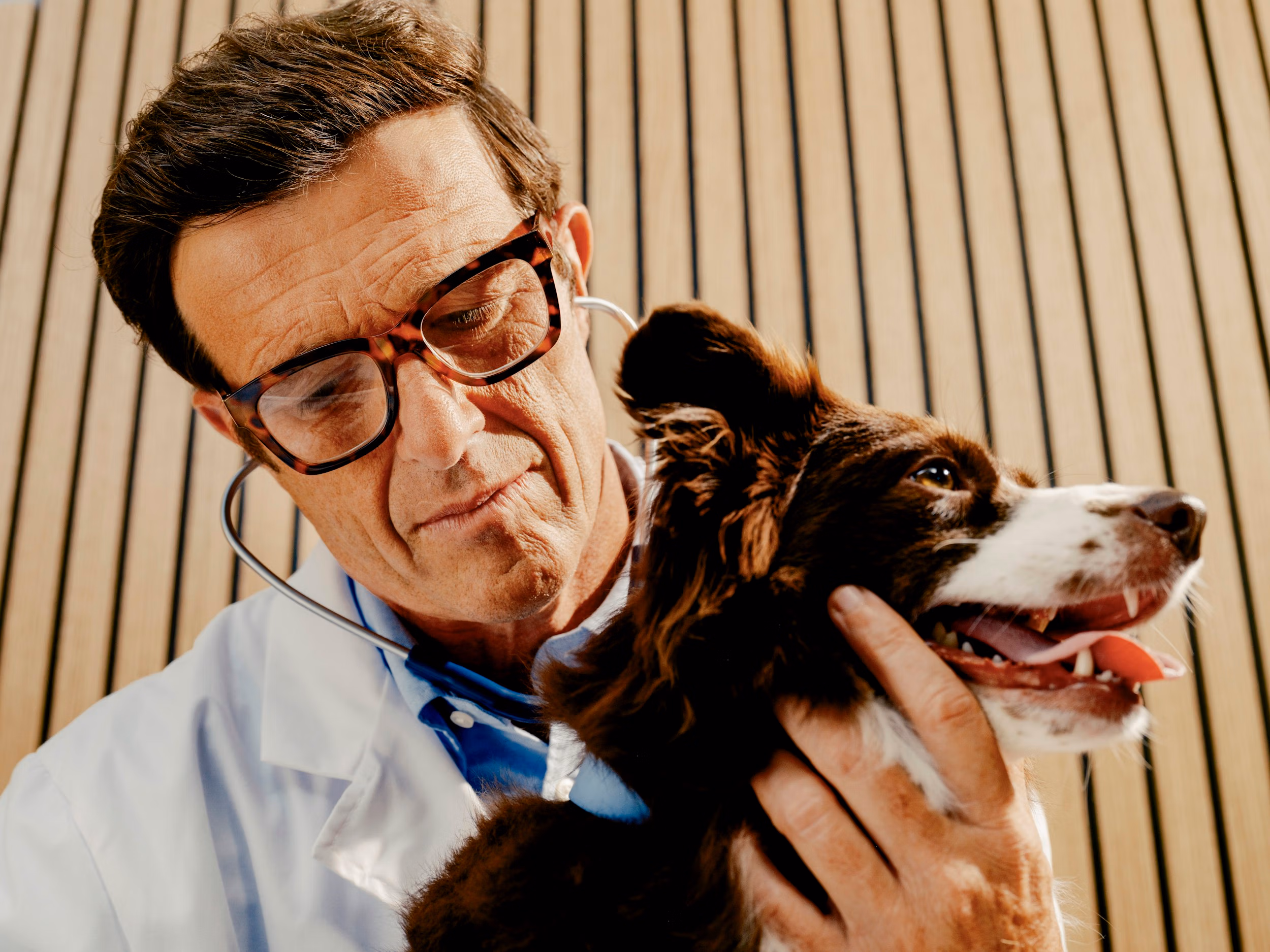 Veterinary doctor checking dog's health