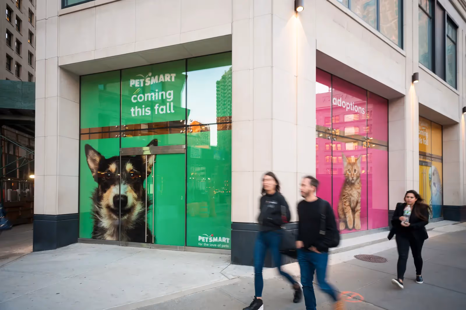 Larger than life pets look out from the future home of a PetSmart store in the Flatiron neighborhood of New York.