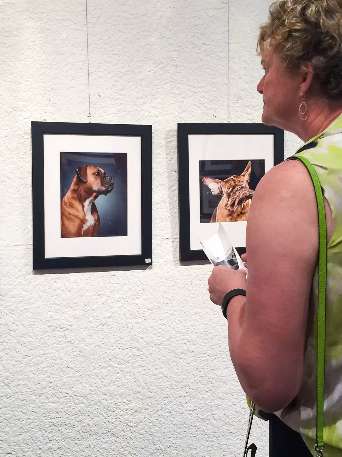 Onlooker starring at pet photography displayed on gallery wall.