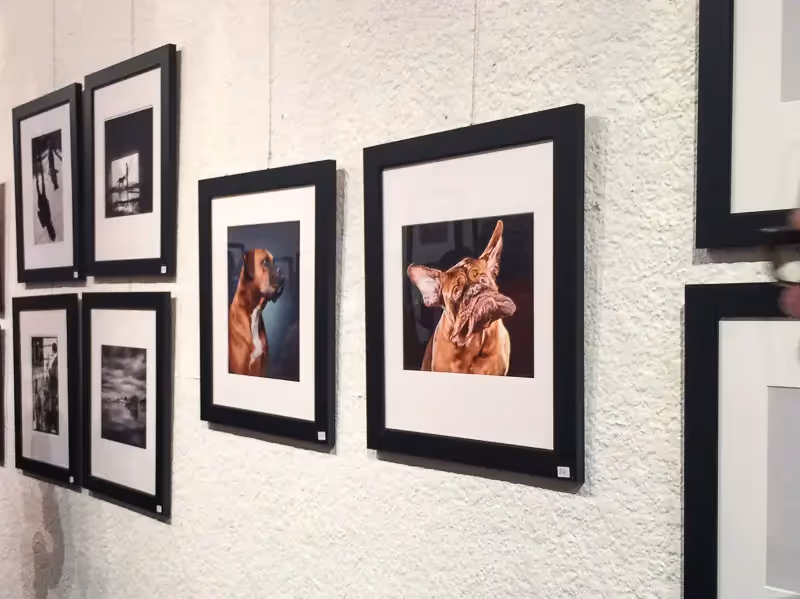 Pet photography displayed on gallery wall.