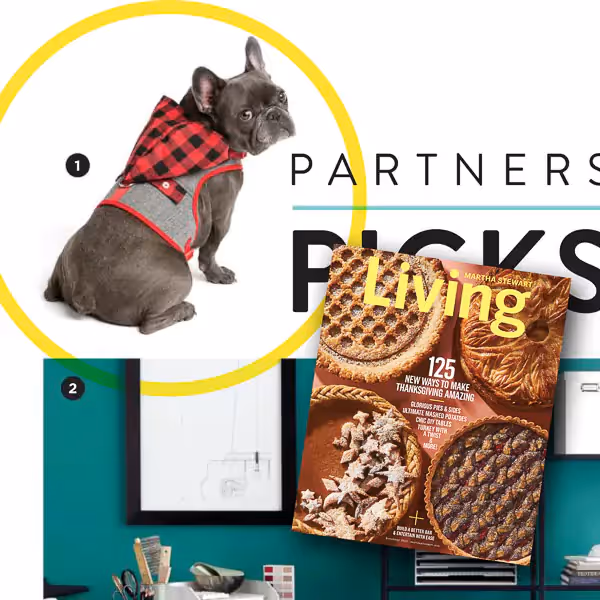 Martha Stewart Living Magazine feature for PetSmart.