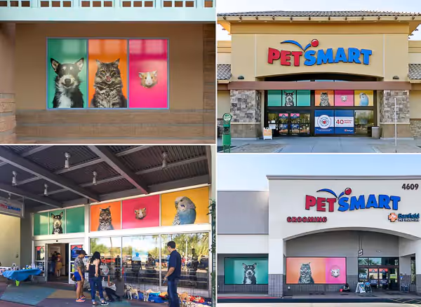 PetSmart storefronts with larger-than-life studio photos of animals on solid backgrounds.
