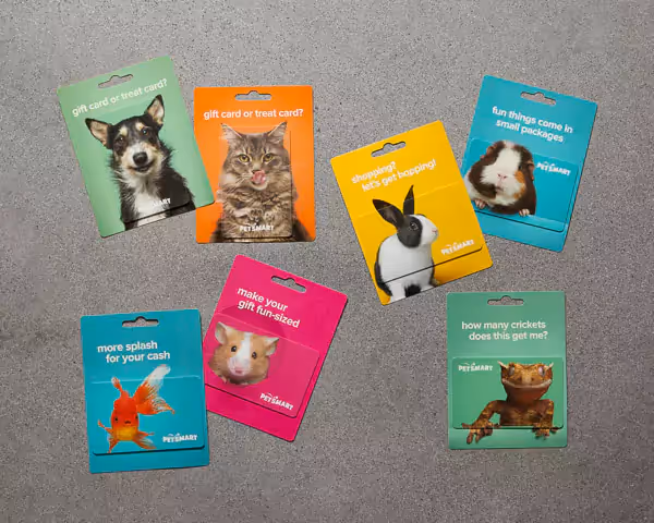PetSmart Gift Card line-up seen along check-outlines at stores nationwide. Cards feature pets on bright and vivid backgrounds.