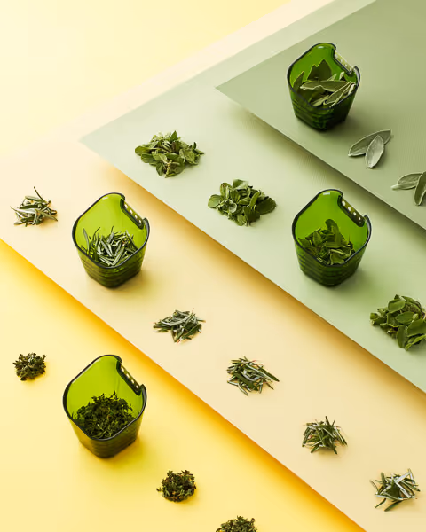 Conceptual studio photography of herbs and product.