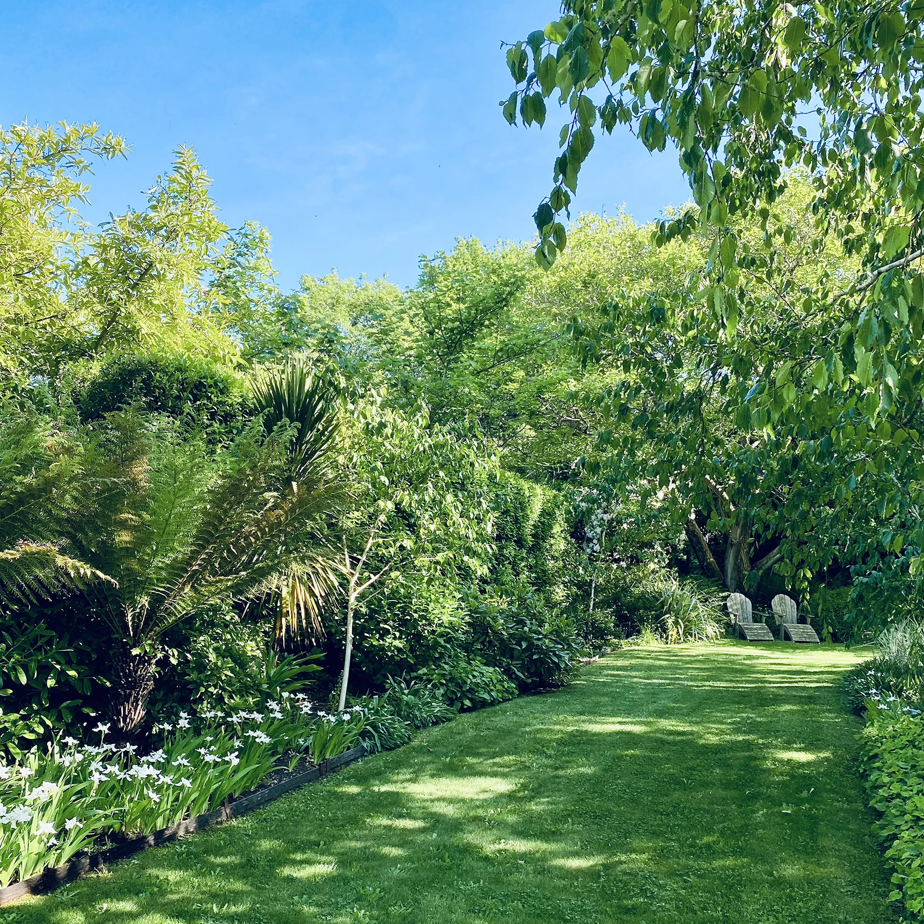 Lawn care