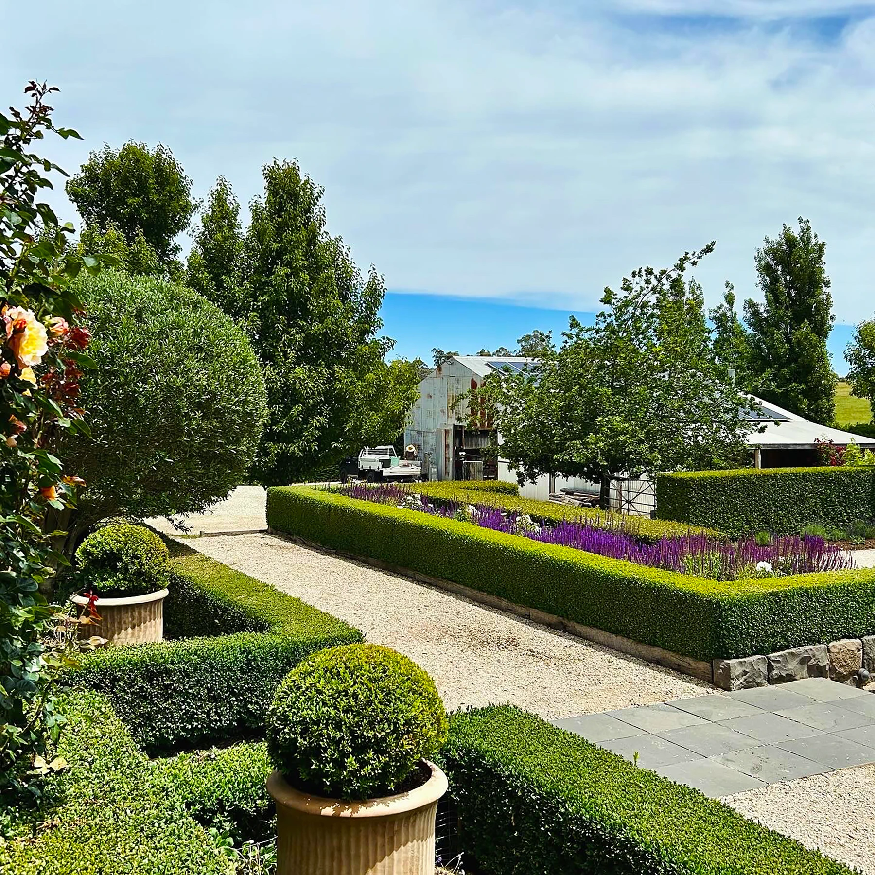Hedge and shrub trimming