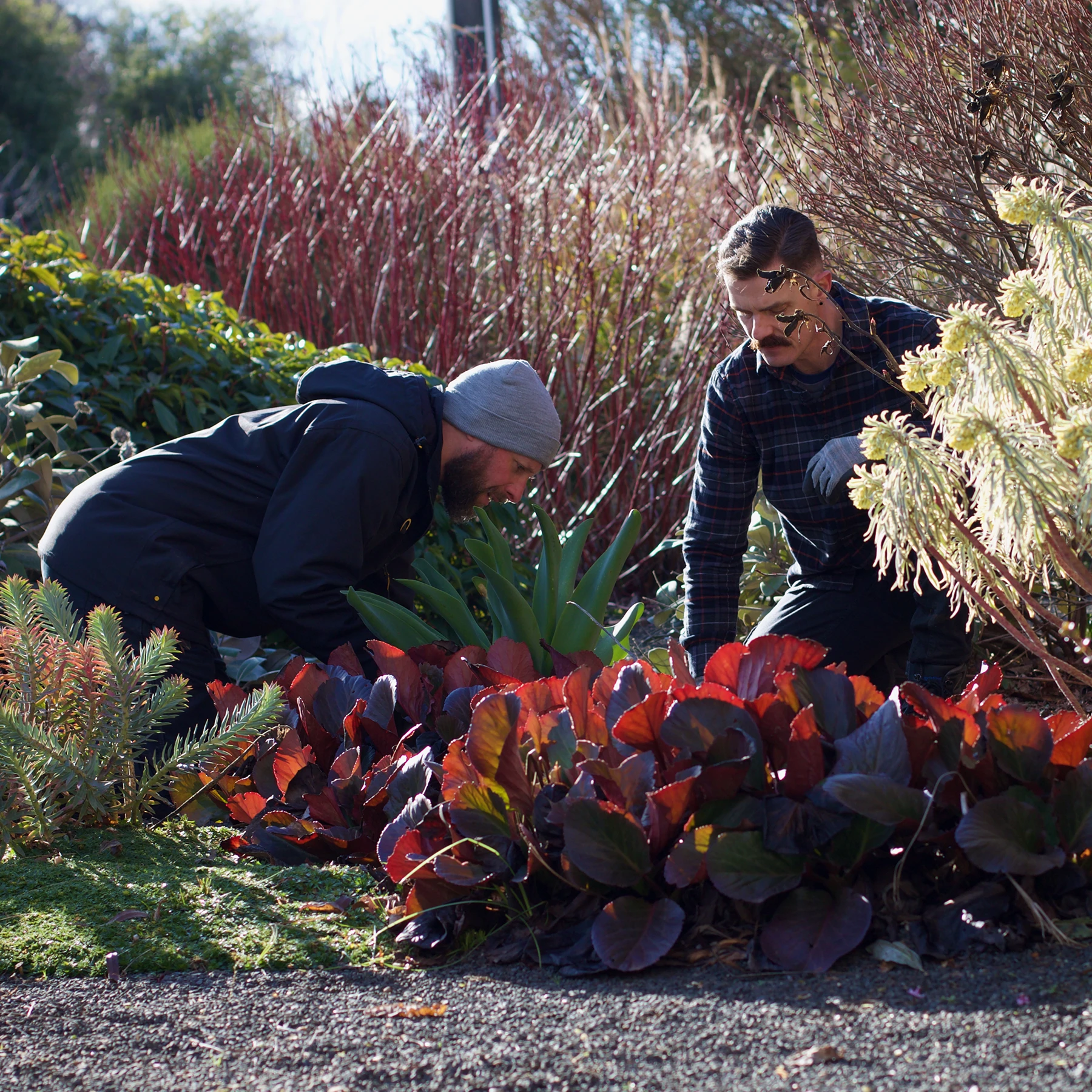 Seasonal maintenance and plant care