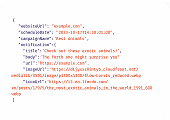 An example of our API integration code