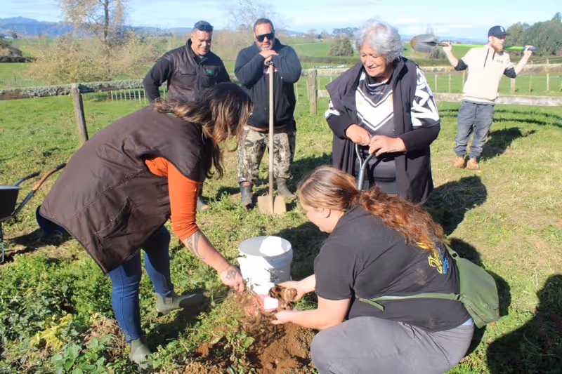 Group of people planting in a field, with two women actively digging, while others observe and assist in a community gardening effort.