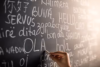 Language is important when doing sales
