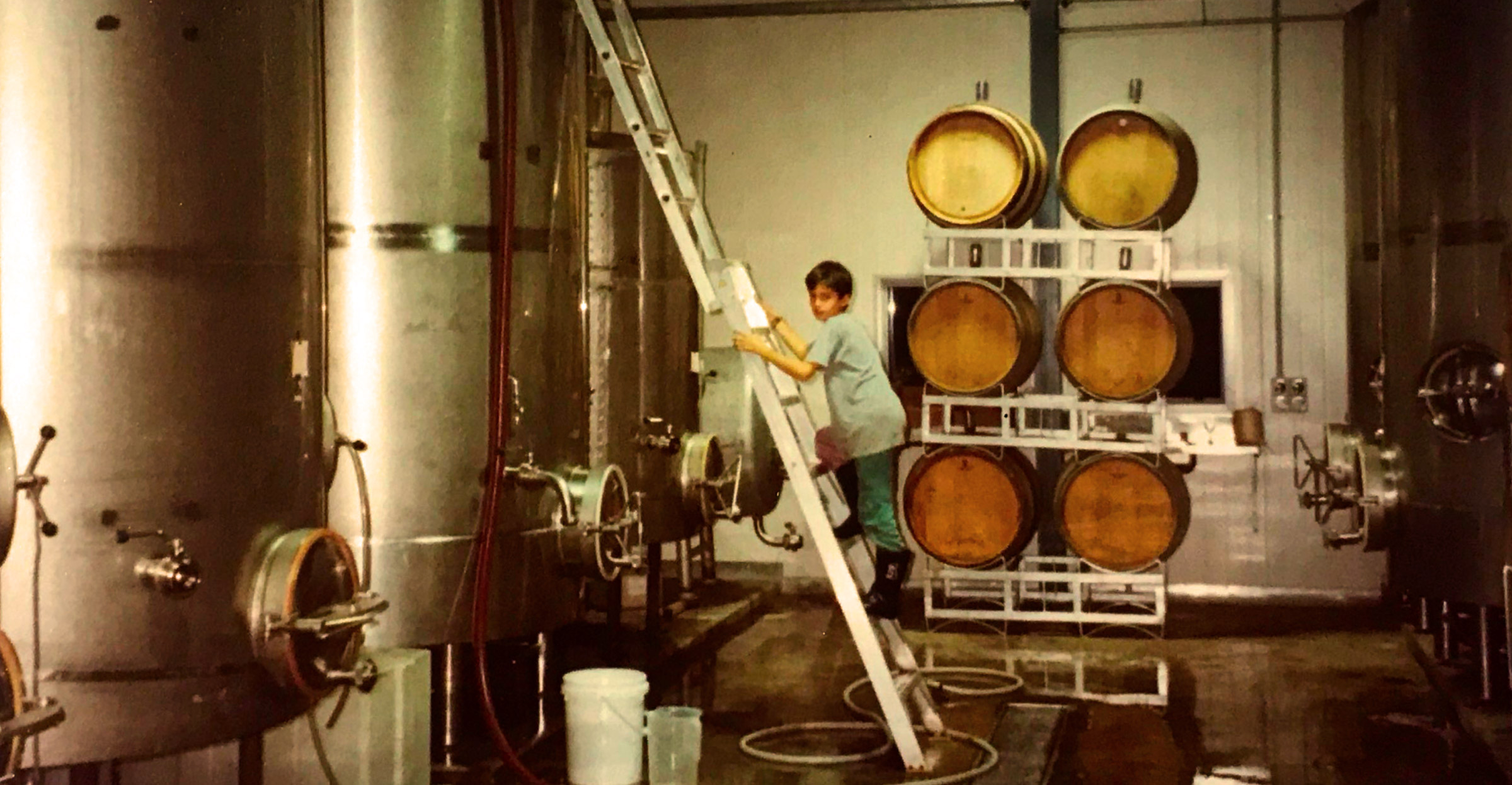 Bild aus dem Innenleben des Weinguts