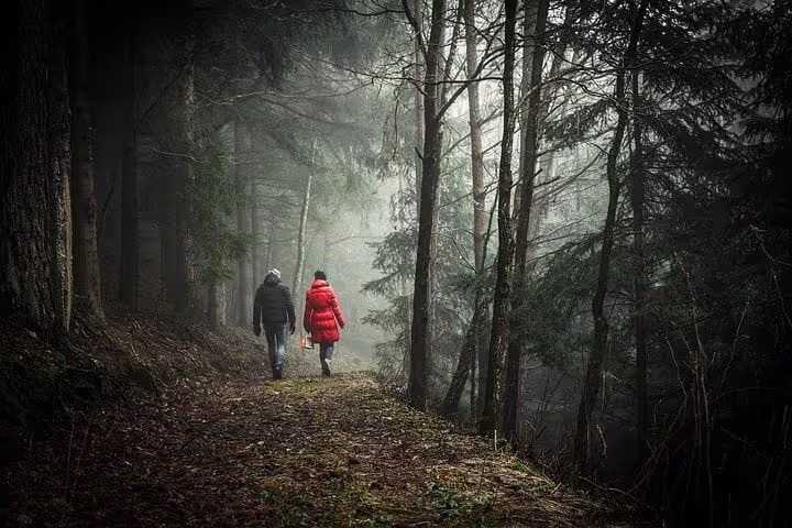 The Benefits of Walking in Nature - Mind Matters Training