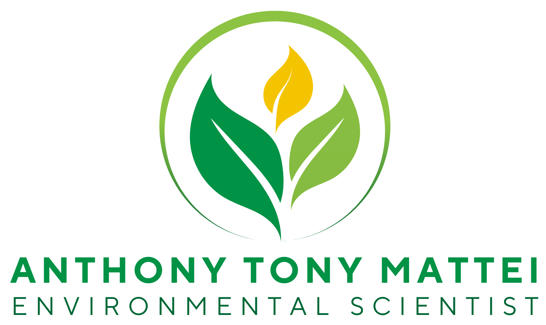 Anthony "Tony" Mattei - Website Logo