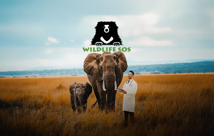 Wildlife SOS