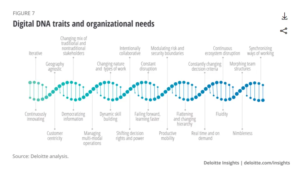 digital dna traits and organizationl needs
