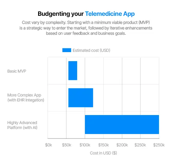 budgenting your telemedicine app