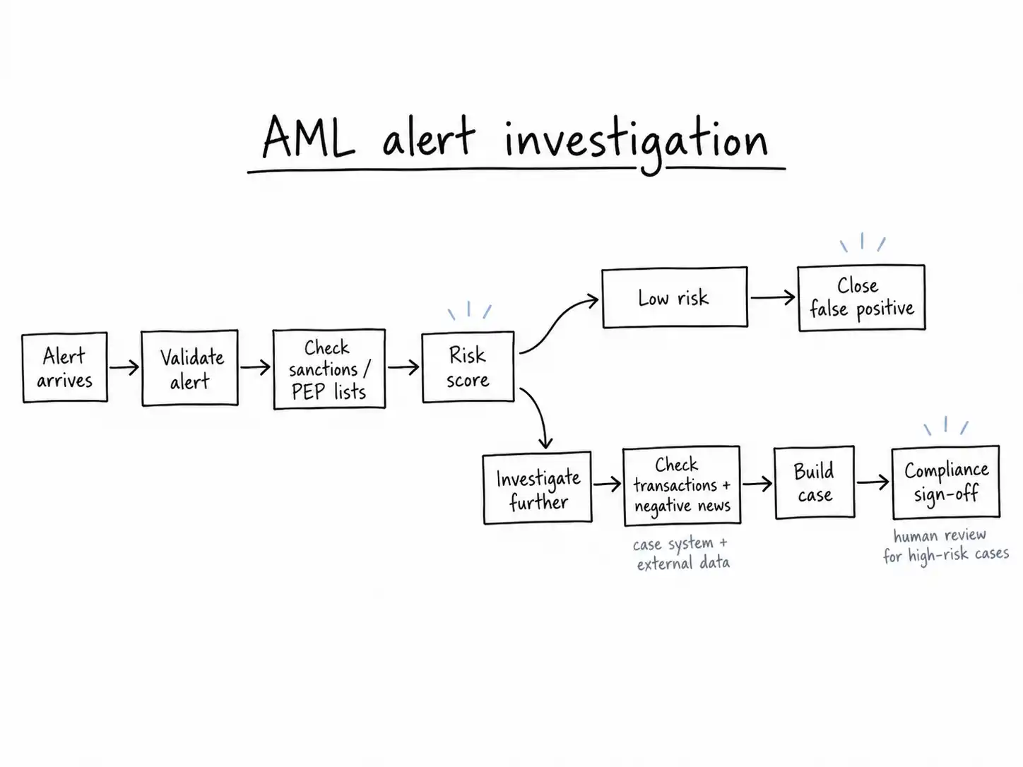 aml aelrt investigation