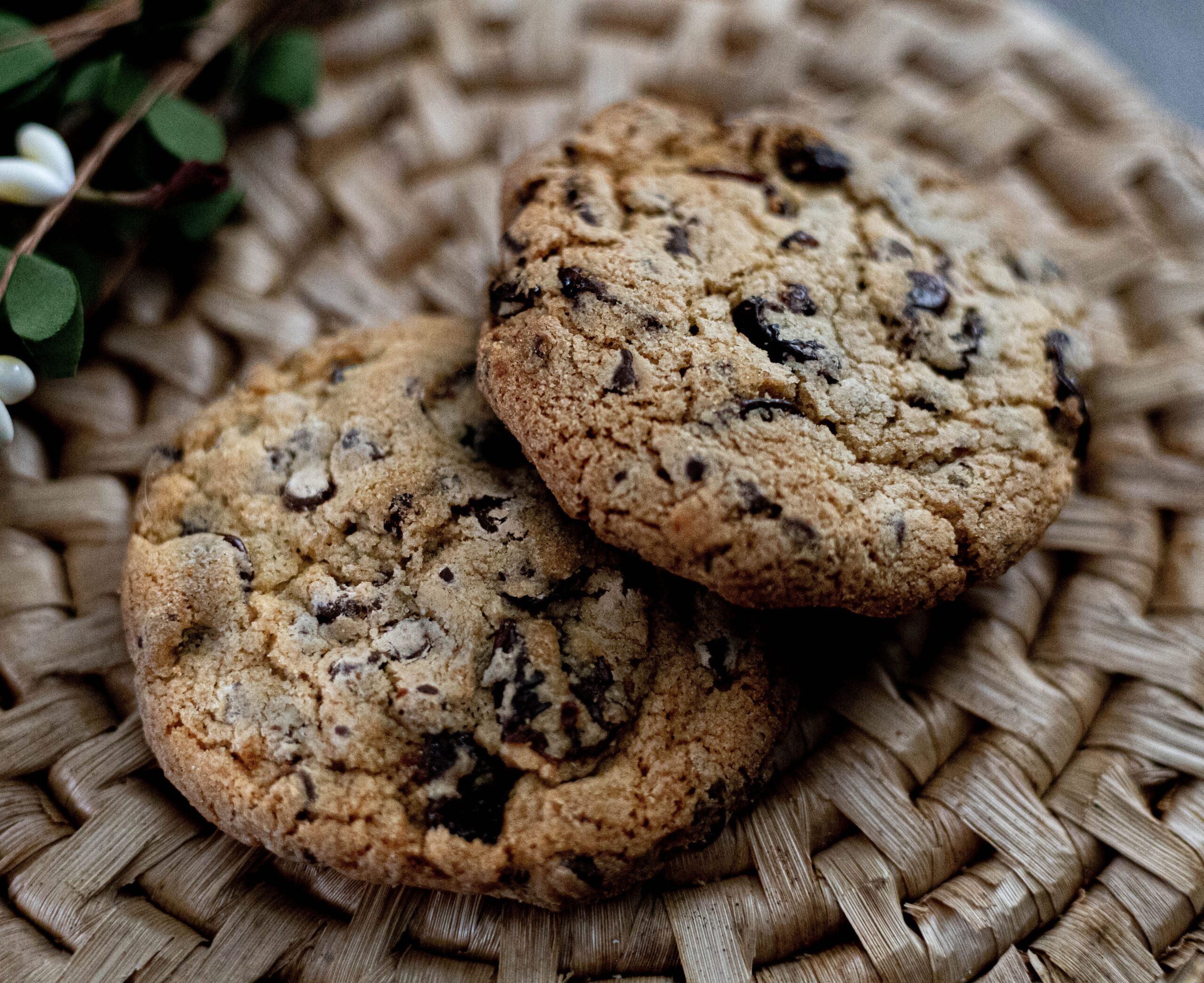 Yellowstone Foods - Cookies
