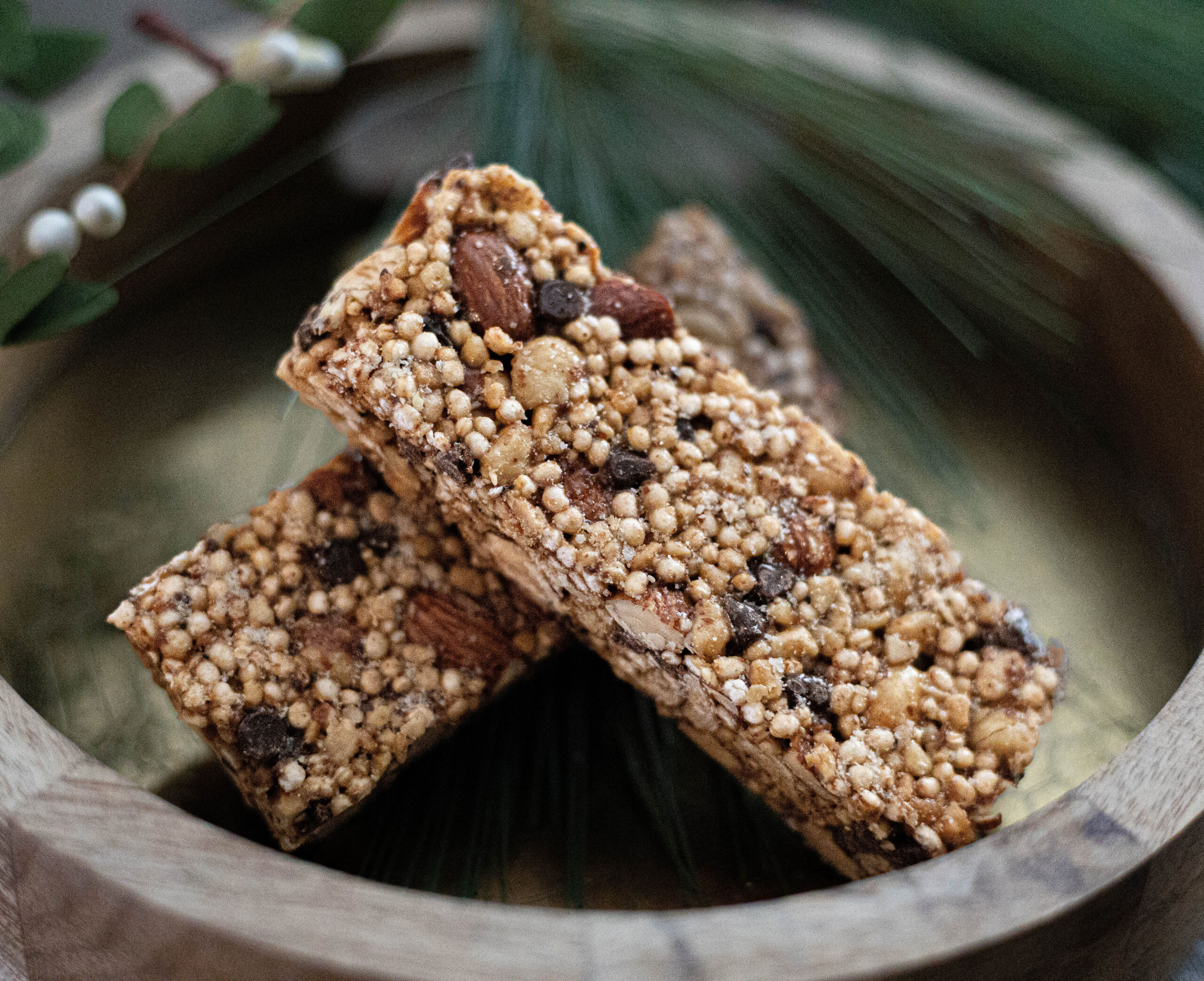 Yellowstone Foods - Granola Bar