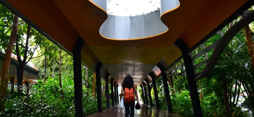 A person walks through a modern, covered walkway surrounded by lush greenery.